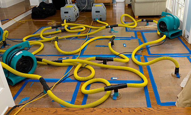 Professional Flood Damage Restoration technician working in Northport, NY